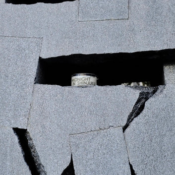 MIDNIGHT IN SHINJUKU