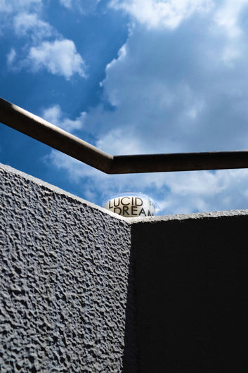 LUCID DREAM