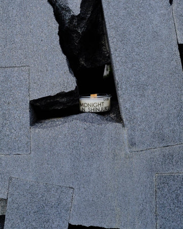 MIDNIGHT IN SHINJUKU